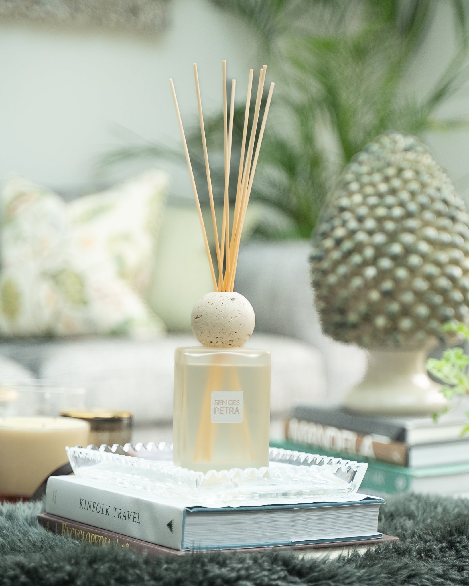 Petra Sences large reed diffuser, styled at home — FREDA Home